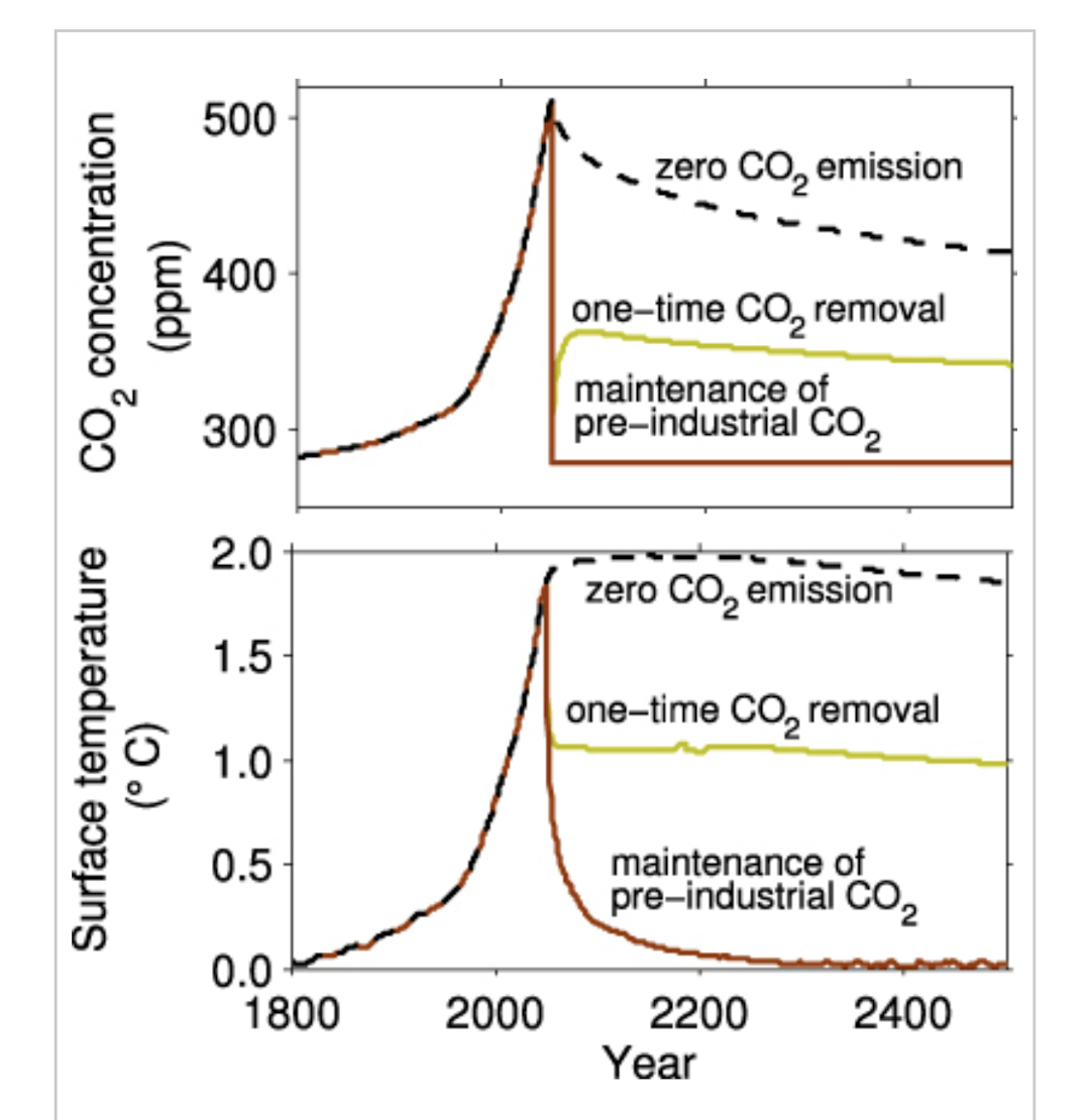 graph of carbon decay over time