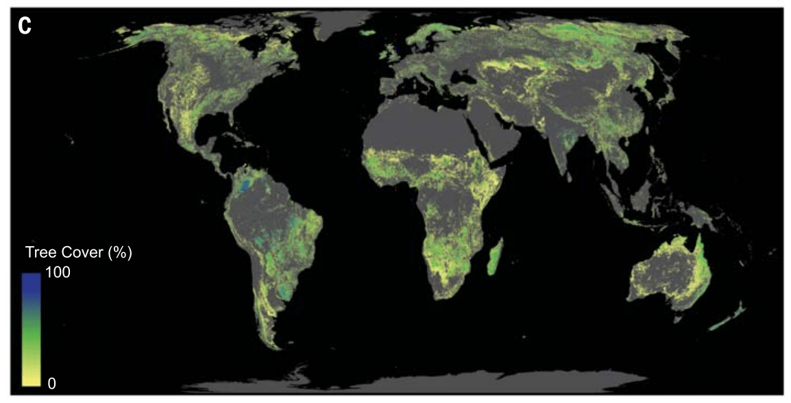 map of potential forest cover around the world